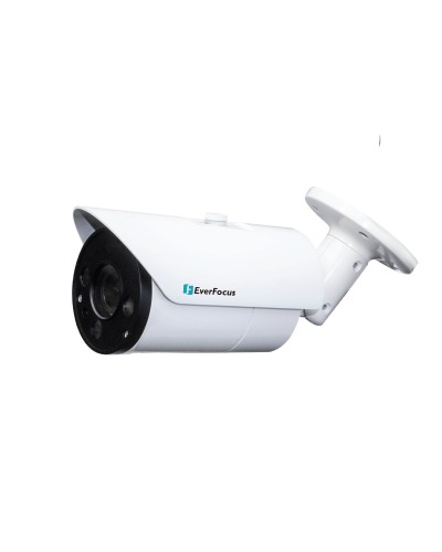 EZN-268V. Видеокамера IP купольная. EverFocus в Самаре