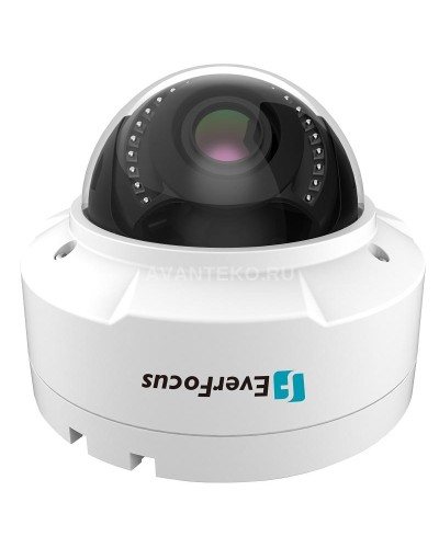 EHN-1250. Видеокамера IP купольная. EverFocus в Самаре