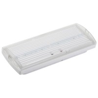 Светильник аварийный ДПА 5030-1 1ч IP20 LIGHTING (LDPA0-5030-1H-K01). Светильник аварийный постоянного действия. IEK