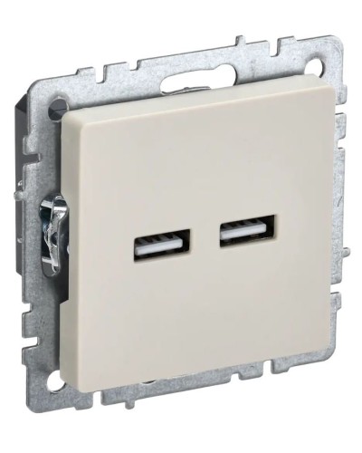 Розетка USB A+A 3,1А РЮ10-1-БрКр бежевый BRITE (BR-U21-D31-K10). Розетка USB. IEK в Самаре