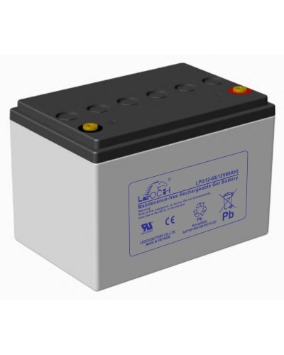 LEOCH LPG 12-60. Аккумулятор герметичный свинцово-кислотный. LEOCH в Самаре