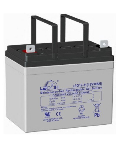 LEOCH LPG 12-31. Аккумулятор герметичный свинцово-кислотный. LEOCH в Самаре