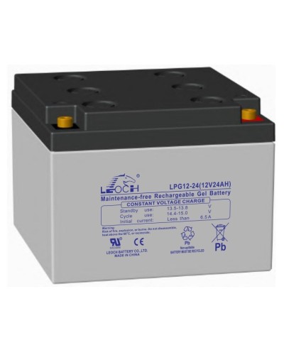 LEOCH LPG 12-24. Аккумулятор герметичный свинцово-кислотный. LEOCH в Самаре