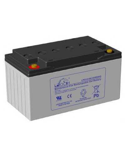 LEOCH LPG 12-65. Аккумулятор герметичный свинцово-кислотный. LEOCH в Самаре