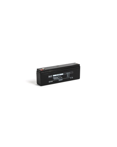 SKAT SB 12022 (2539). Аккумулятор герметичный свинцово-кислотный. Бастион в Самаре