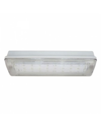 SL-213-30LED1.8 исп.1 IP54. Светильник аварийного освещения. ИП Раченков А.В. в Самаре