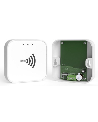 RFID-TM. Считыватель RFID. Ритм в Самаре